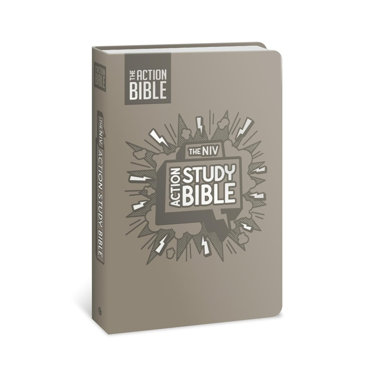 The NIV Action Study Bible 2025 (Action Bible Series)
