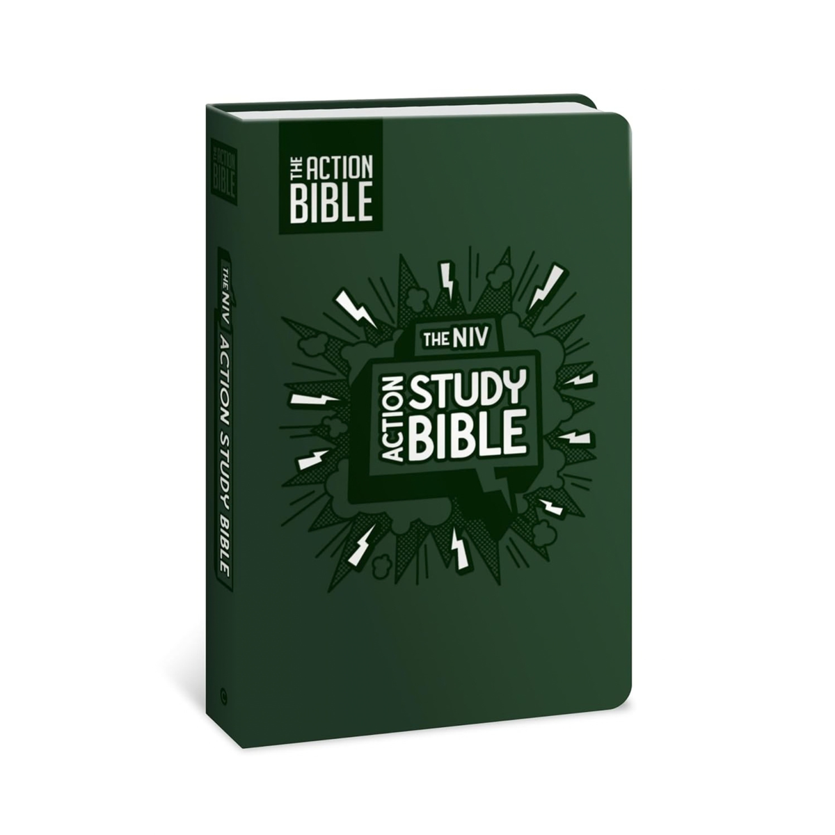 The NIV Action Study Bible 2025 (Action Bible Series)
