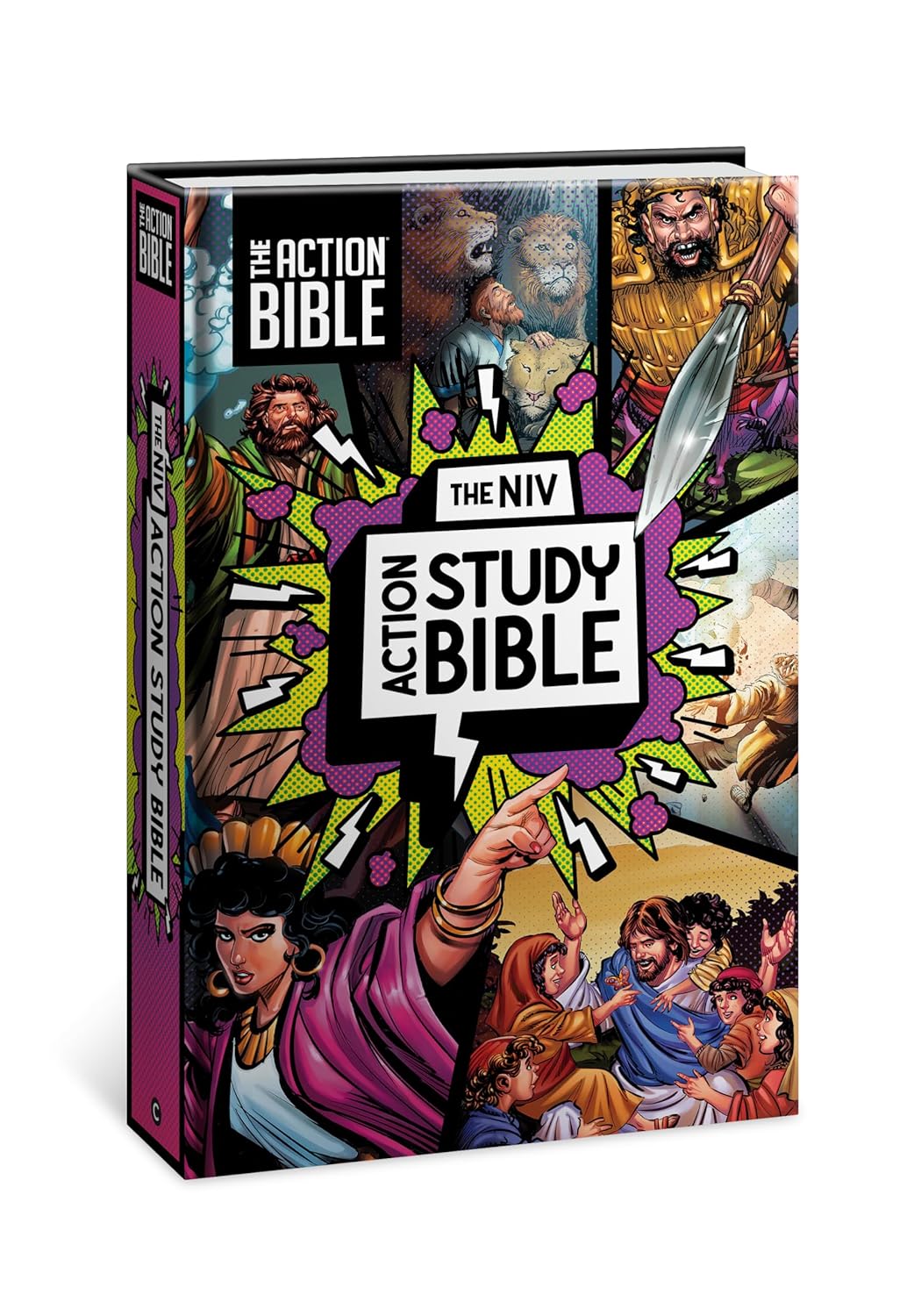 The NIV Action Study Bible 2025 (Action Bible Series)