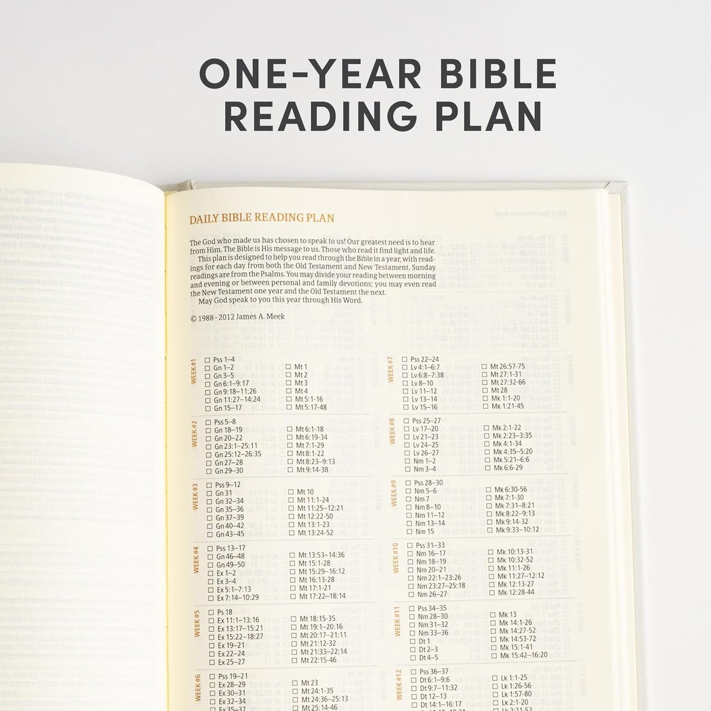 CSB Notetaking Bible, Hosanna Revival Edition - Lemon Cloth Over Board