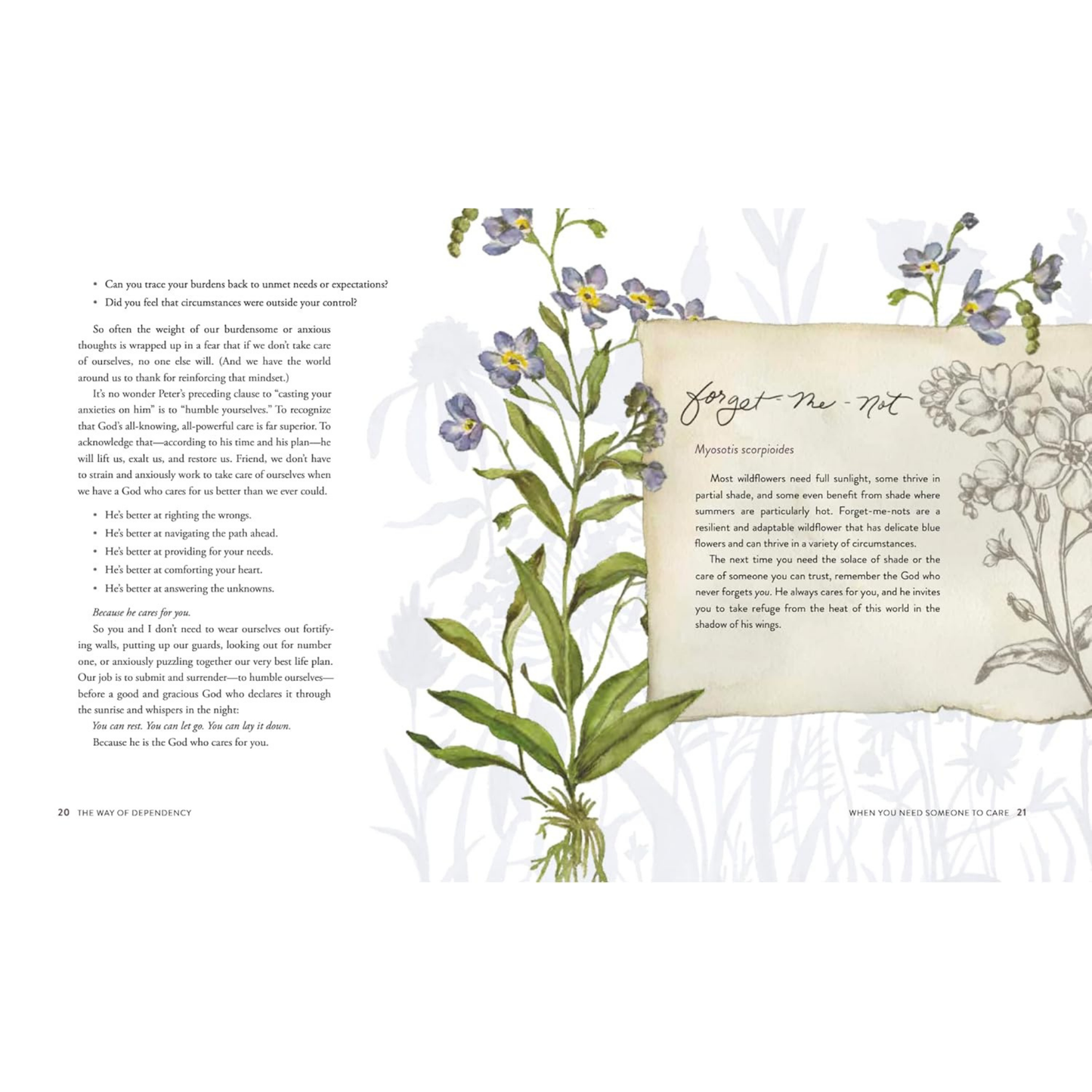 Way of the Wildflower