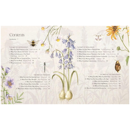 Way of the Wildflower