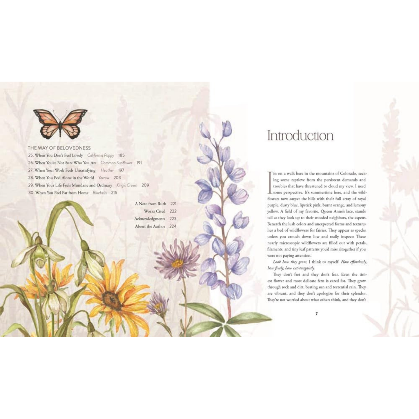 Way of the Wildflower