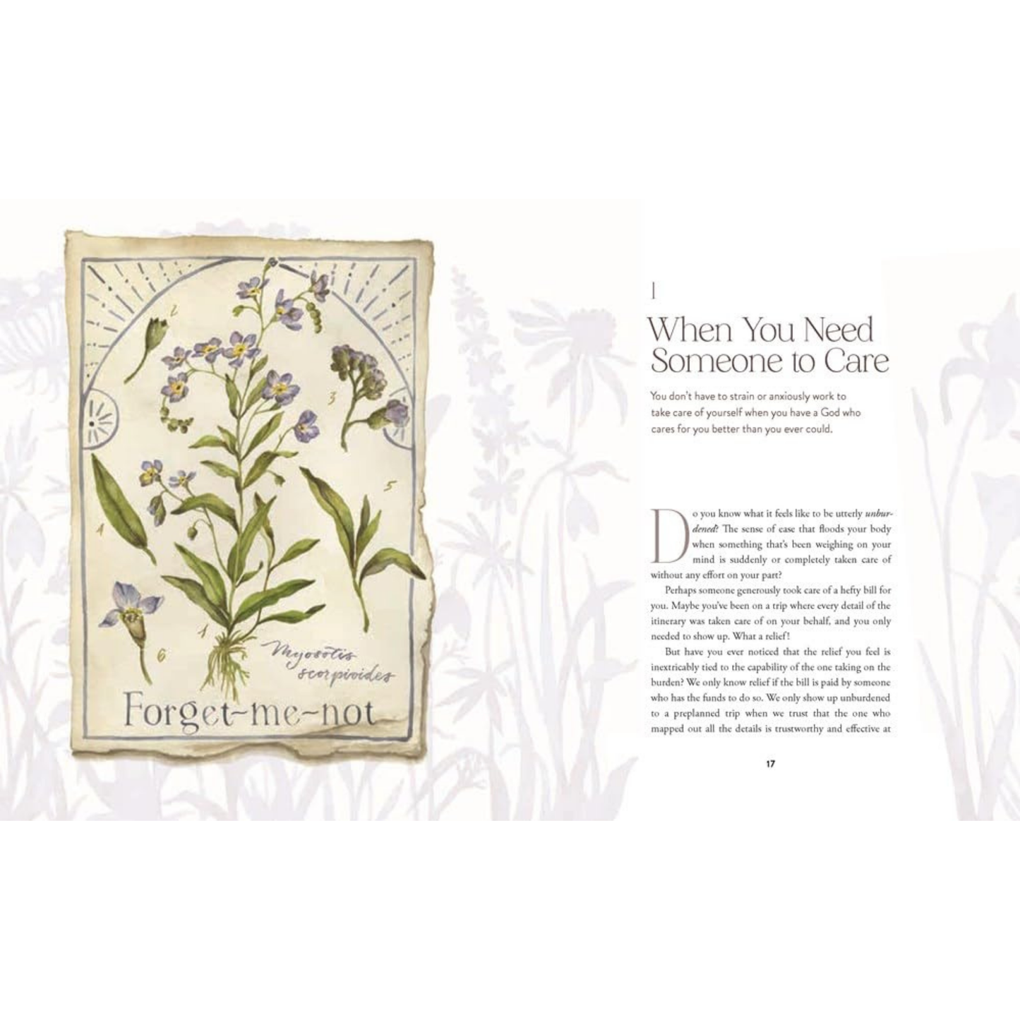 Way of the Wildflower