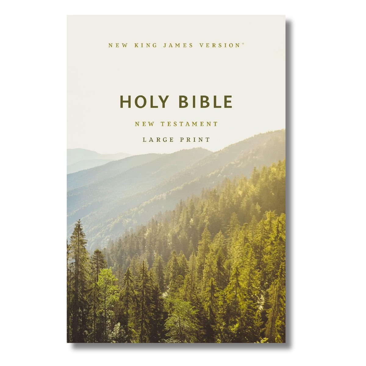 NKJV Large Print Outreach New Testament Bible
