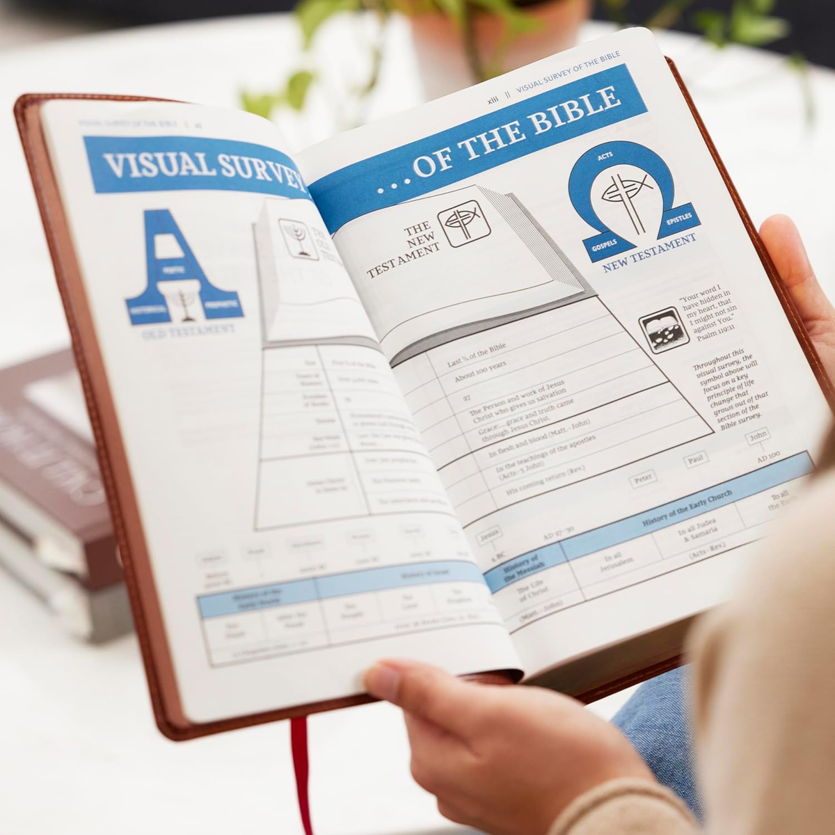 NKJV The Open Bible: Read and Discover the Bible for Yourself