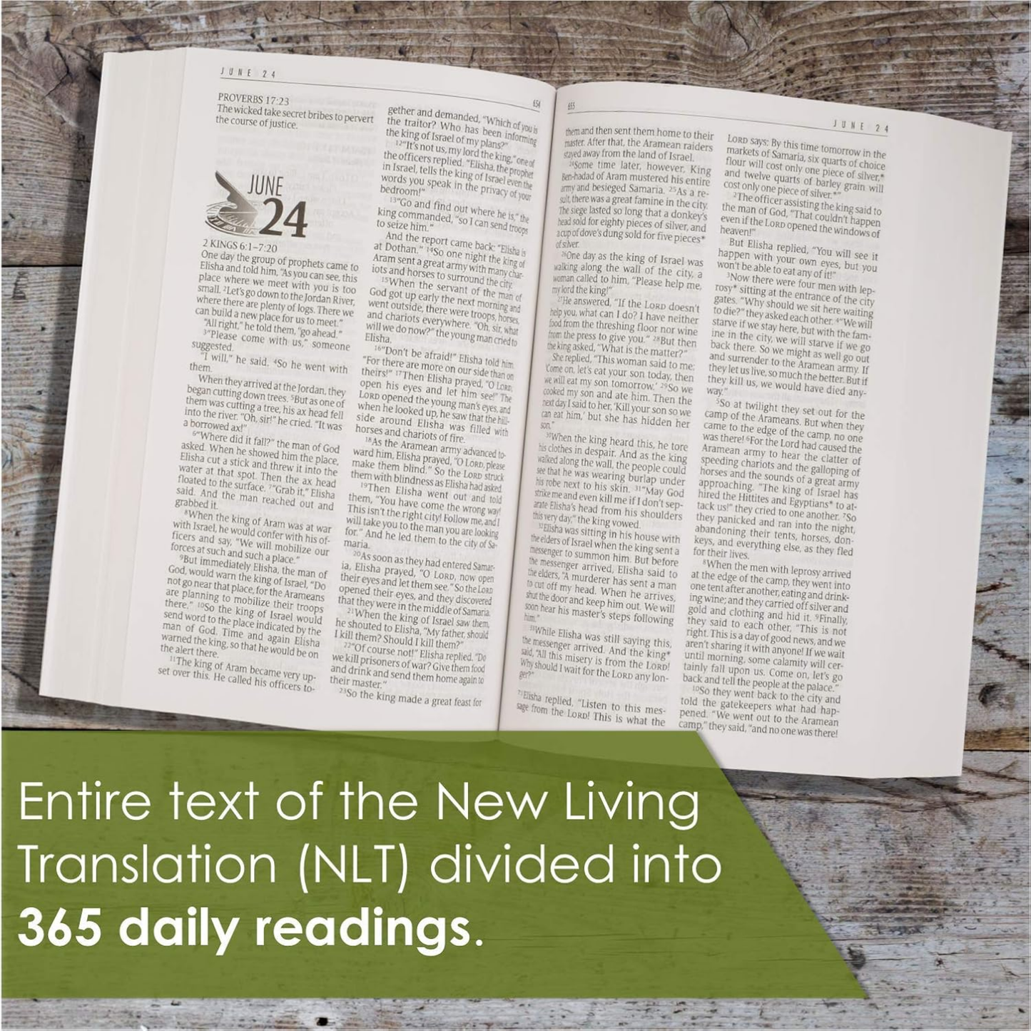 NLT - The One Year Bible (Softcover)