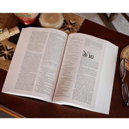 NLT - The One Year Bible (Softcover)