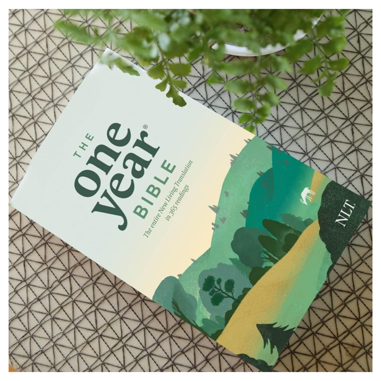 NLT, The One Year Bible - Large Print Thinline Edition (Softcover)