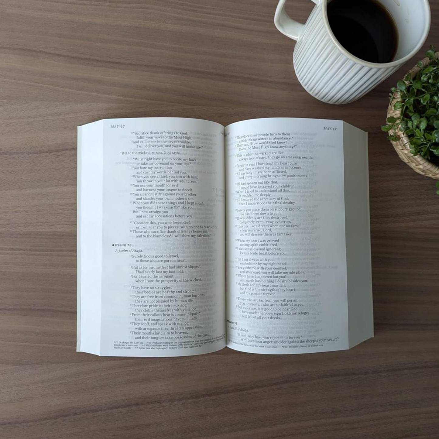 NIV, The One Year Chronological Bible (Softcover)