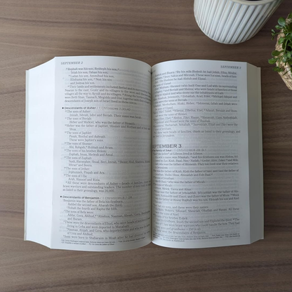 NIV, The One Year Chronological Bible (Softcover)