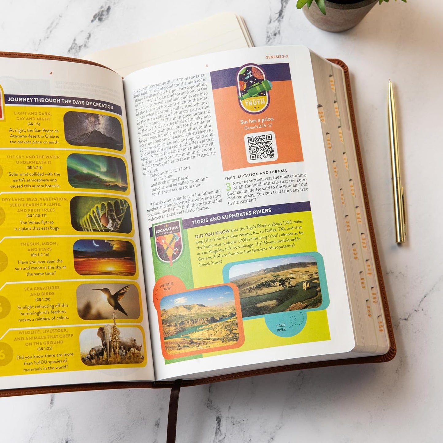 CSB Explorer Bible for Kids, LeatherTouch