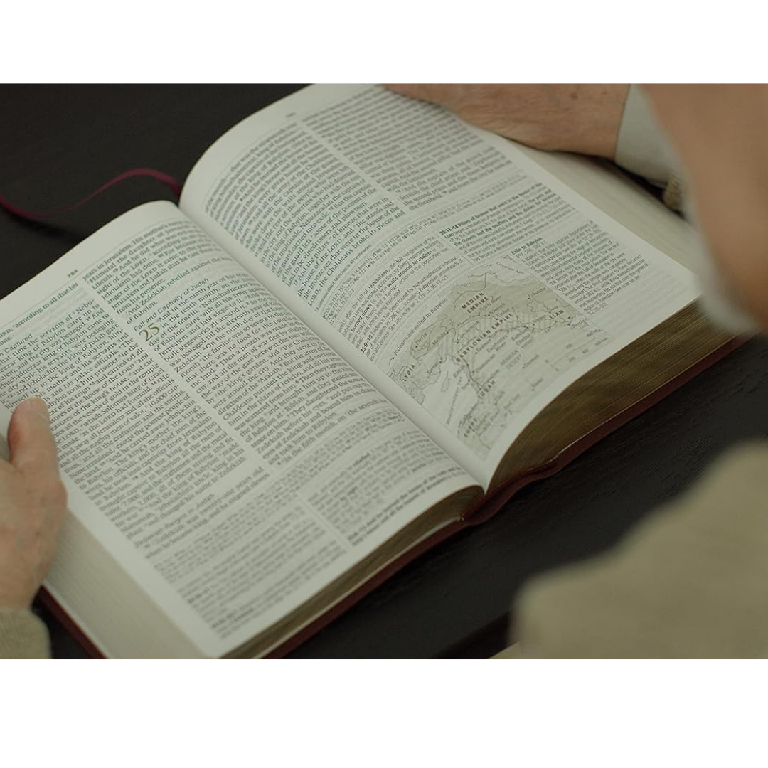 ESV Study Bible, Large Print, Burgundy (Bonded Leather)