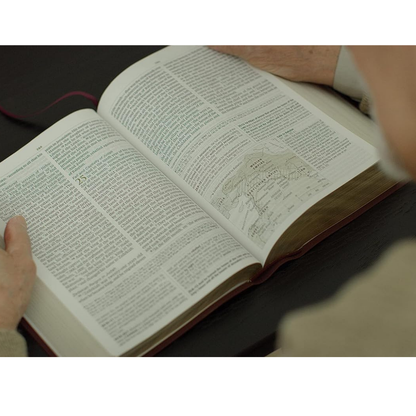 ESV Study Bible, Large Print, Burgundy (Bonded Leather)