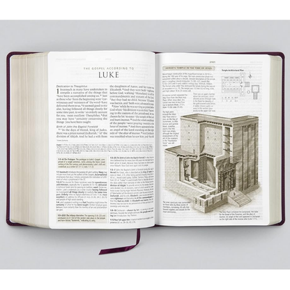 ESV Study Bible, Large Print, Burgundy (Bonded Leather)