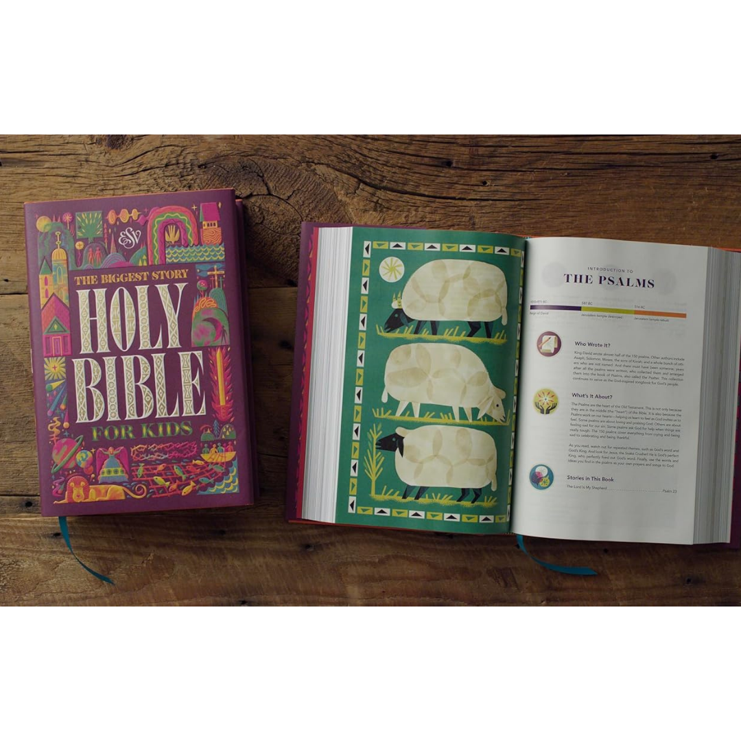 The Biggest Story Holy Bible for Kids (Hardcover)