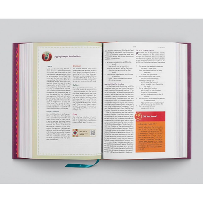 The Biggest Story Holy Bible for Kids (Hardcover)