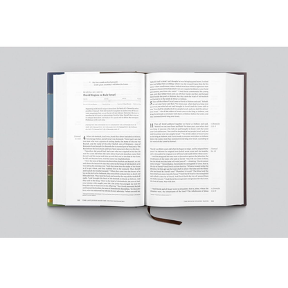 ESV Chronological Bible (Hardcover)