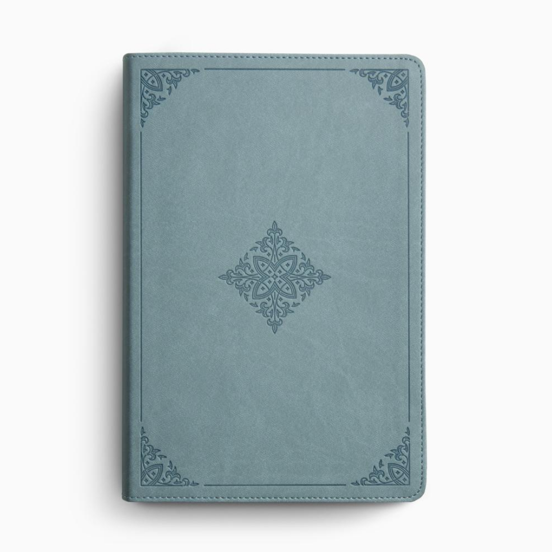 ESV Chronological Bible, TruTone, Paris Sky