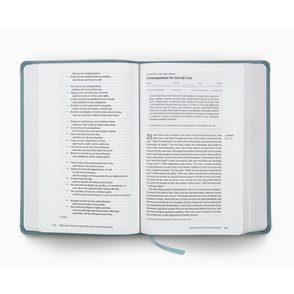 ESV Chronological Bible, TruTone, Paris Sky