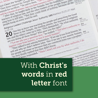 NLT Life Application Study Bible (Third Edition), Large Print - Hardcover