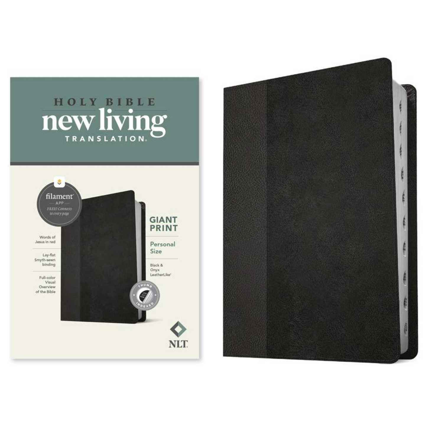 NLT Personal Size Giant Print Bible