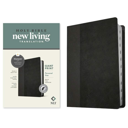 NLT Personal Size Giant Print Bible