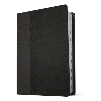 NLT Personal Size Giant Print Bible