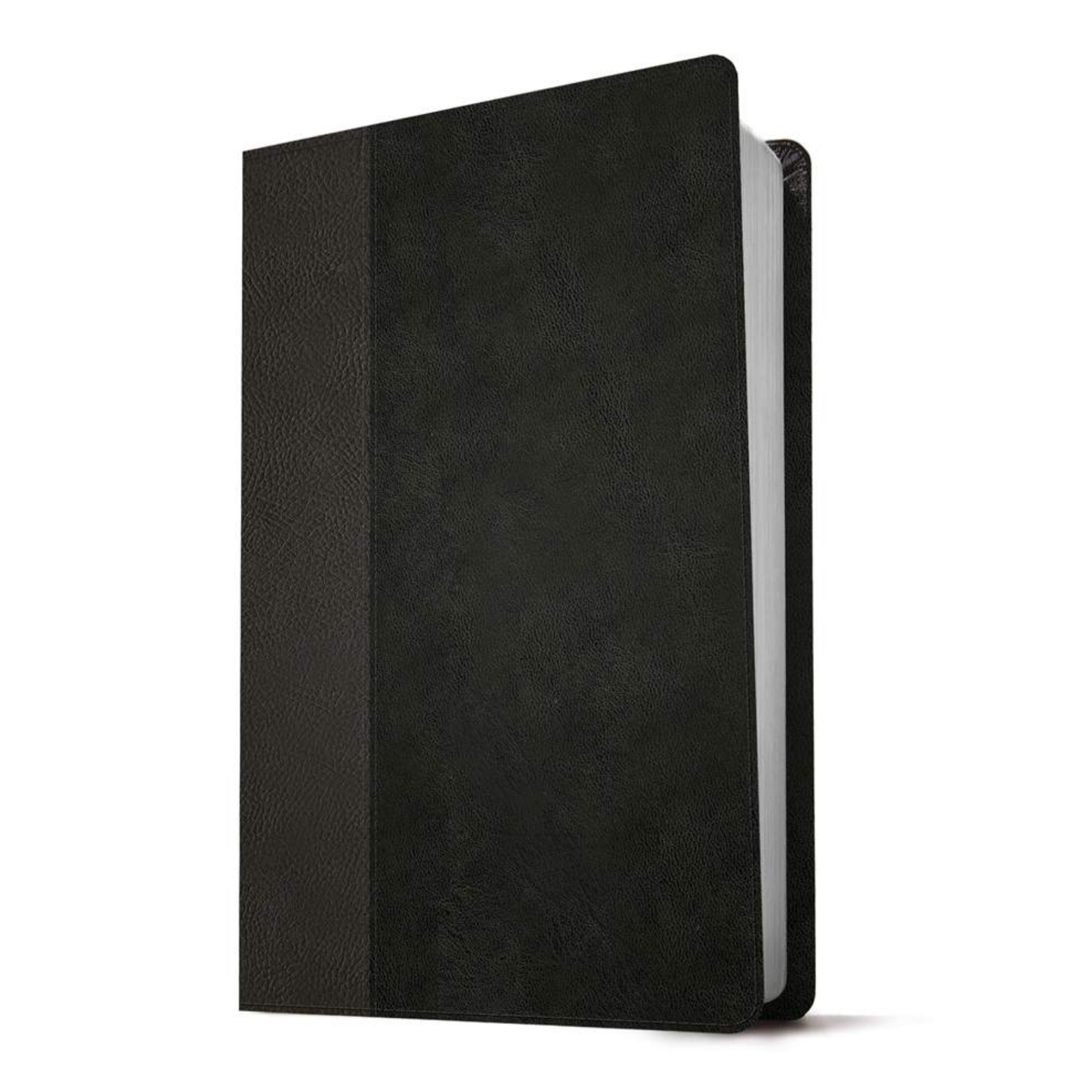 KJV Large Print Thinline Reference Bible, Filament Enabled
