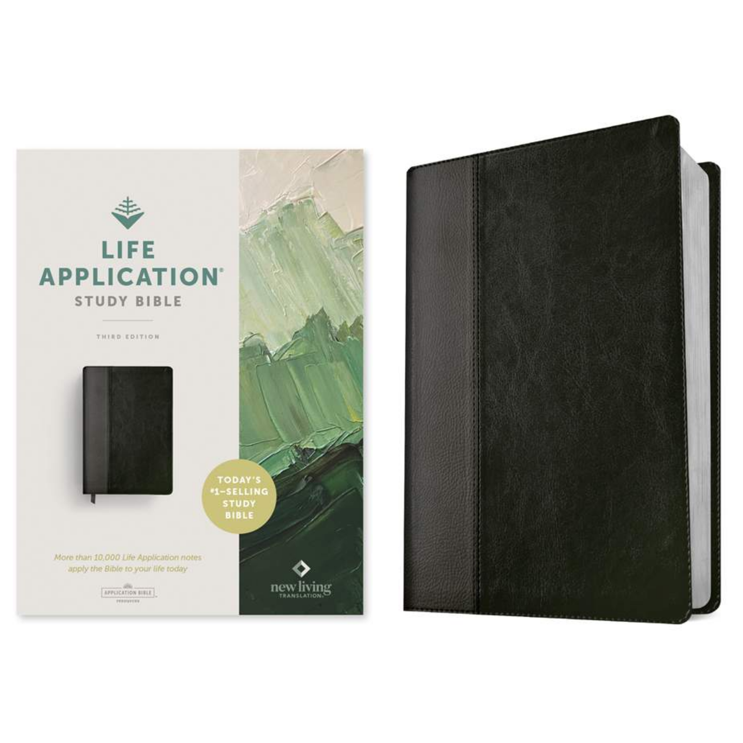 NLT Life Application Study Bible (Third Edition)