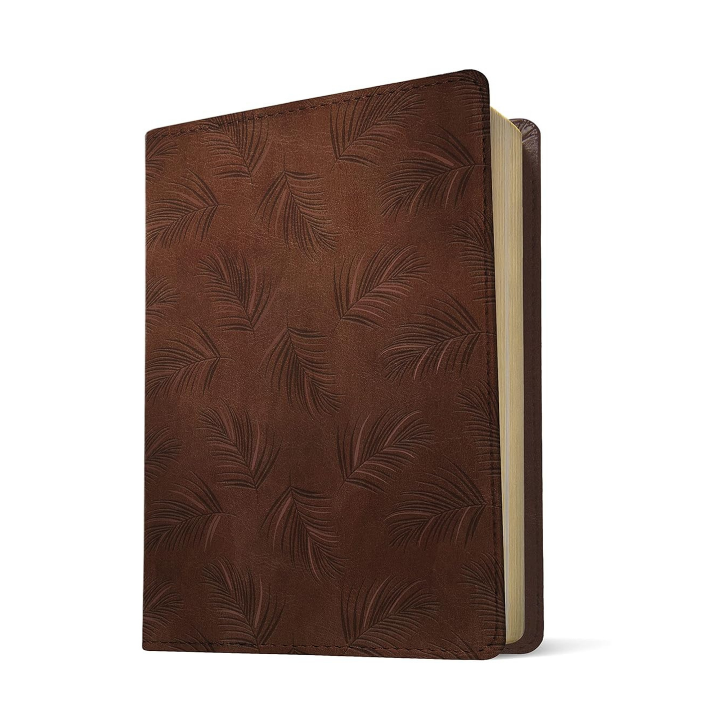 NLT Wide Margin Bible (Filament Enabled)