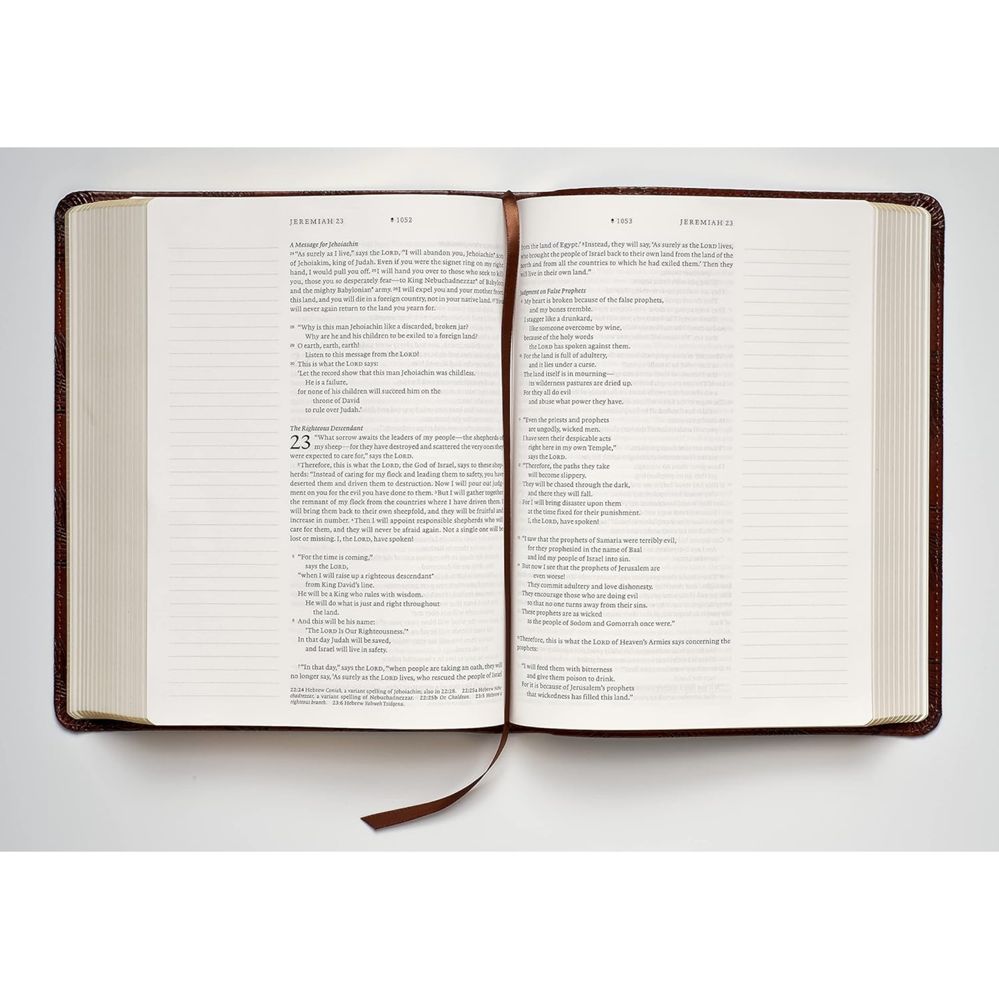 NLT Wide Margin Bible (Filament Enabled)