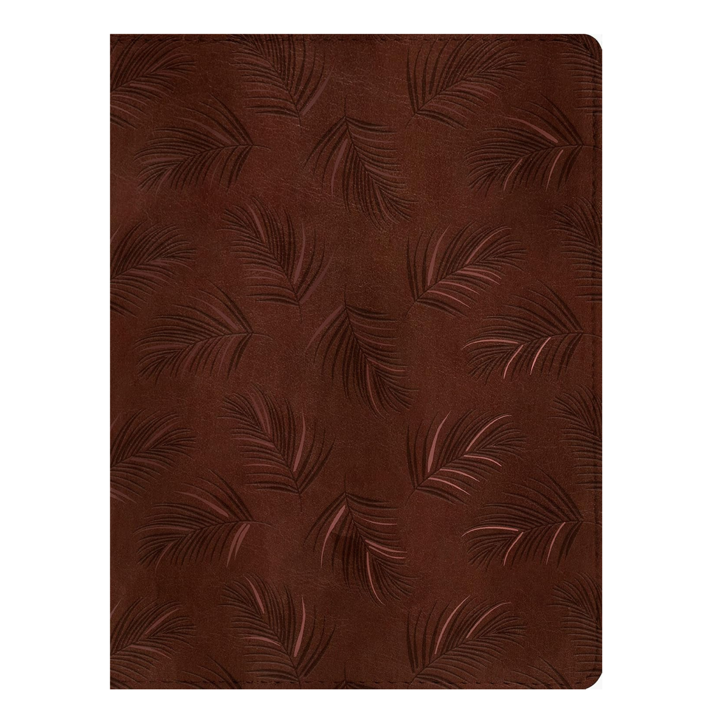 NLT Wide Margin Bible (Filament Enabled)