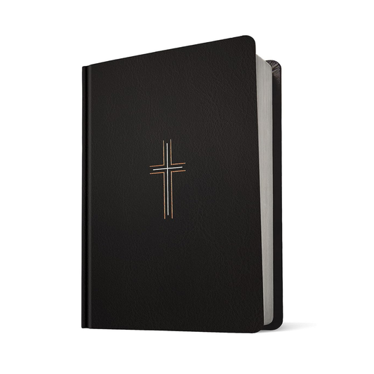 NLT Wide Margin Bible (Filament Enabled)