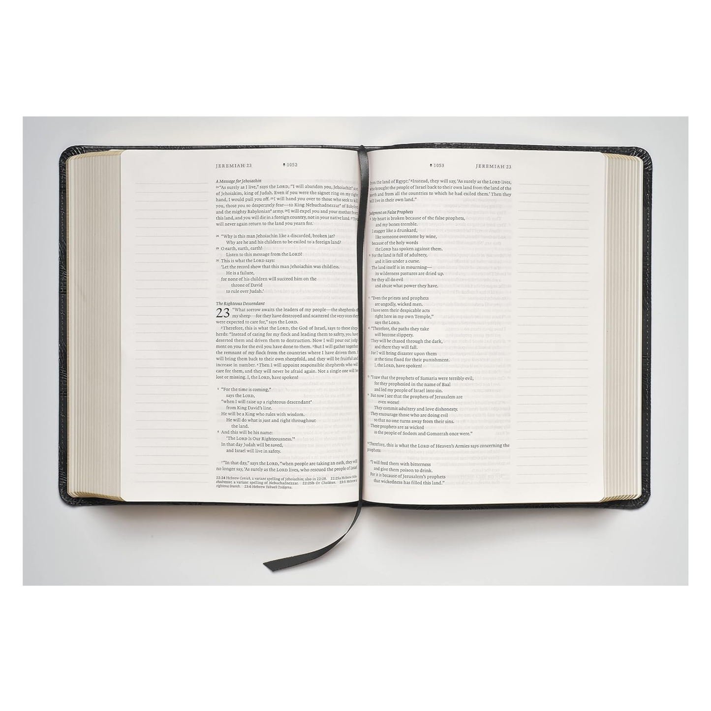 NLT Wide Margin Bible (Filament Enabled)