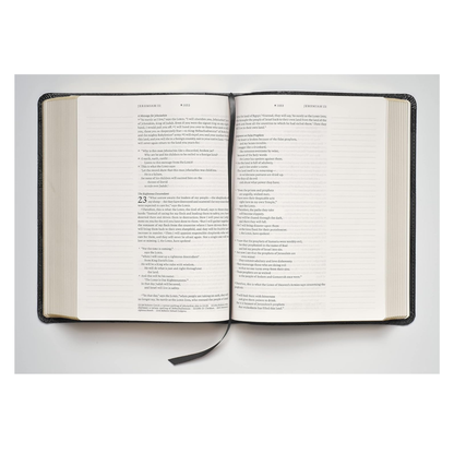 NLT Wide Margin Bible (Filament Enabled)