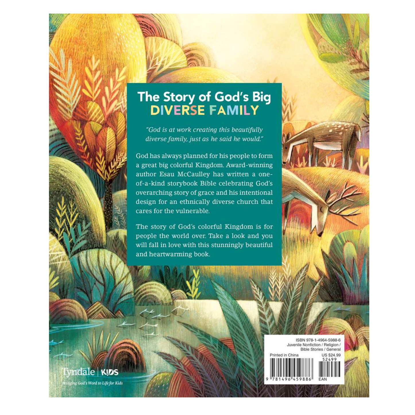 God’s Colorful Kingdom Storybook Bible