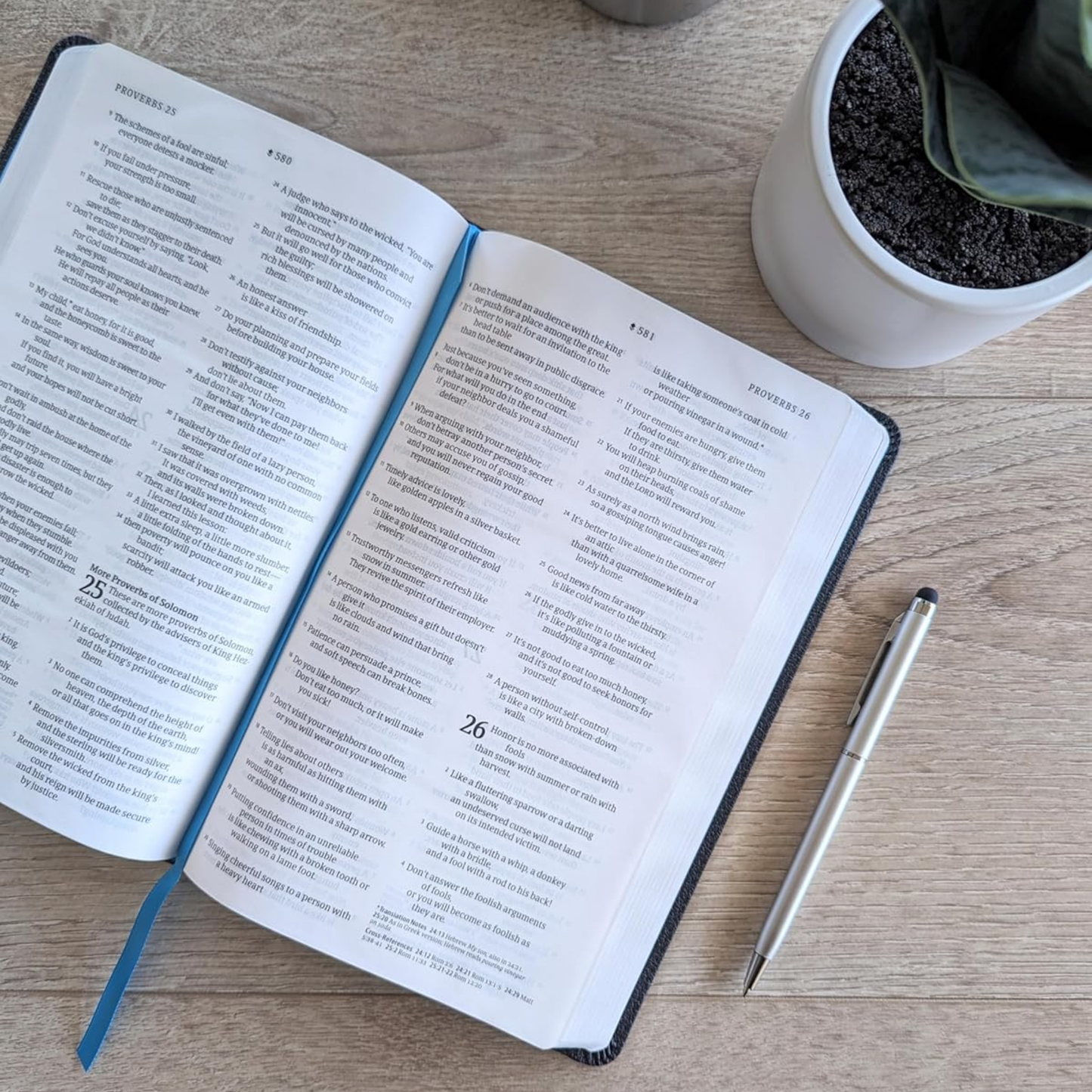 NLT Student Bible, Thinline Reference