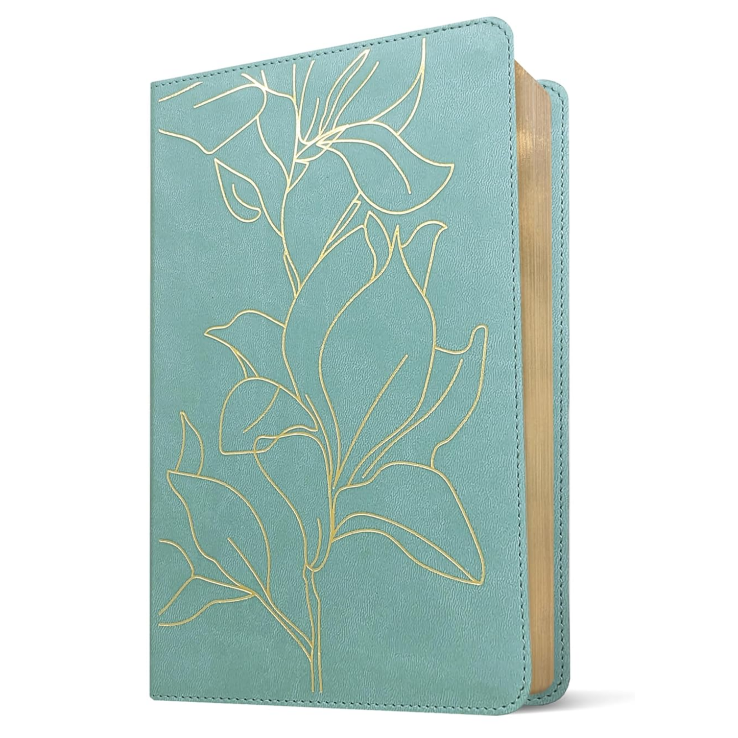 NLT Student Bible, Thinline Reference