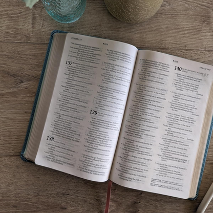 NLT Student Bible, Thinline Reference