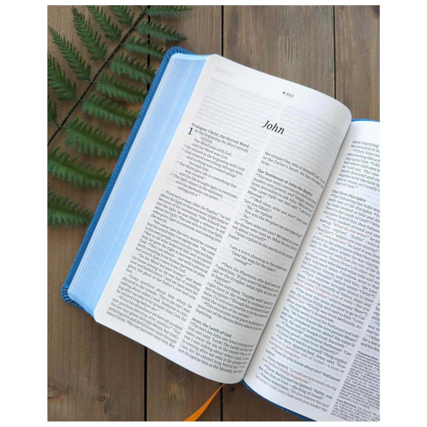 NLT Kids Bible, Thinline Reference Edition
