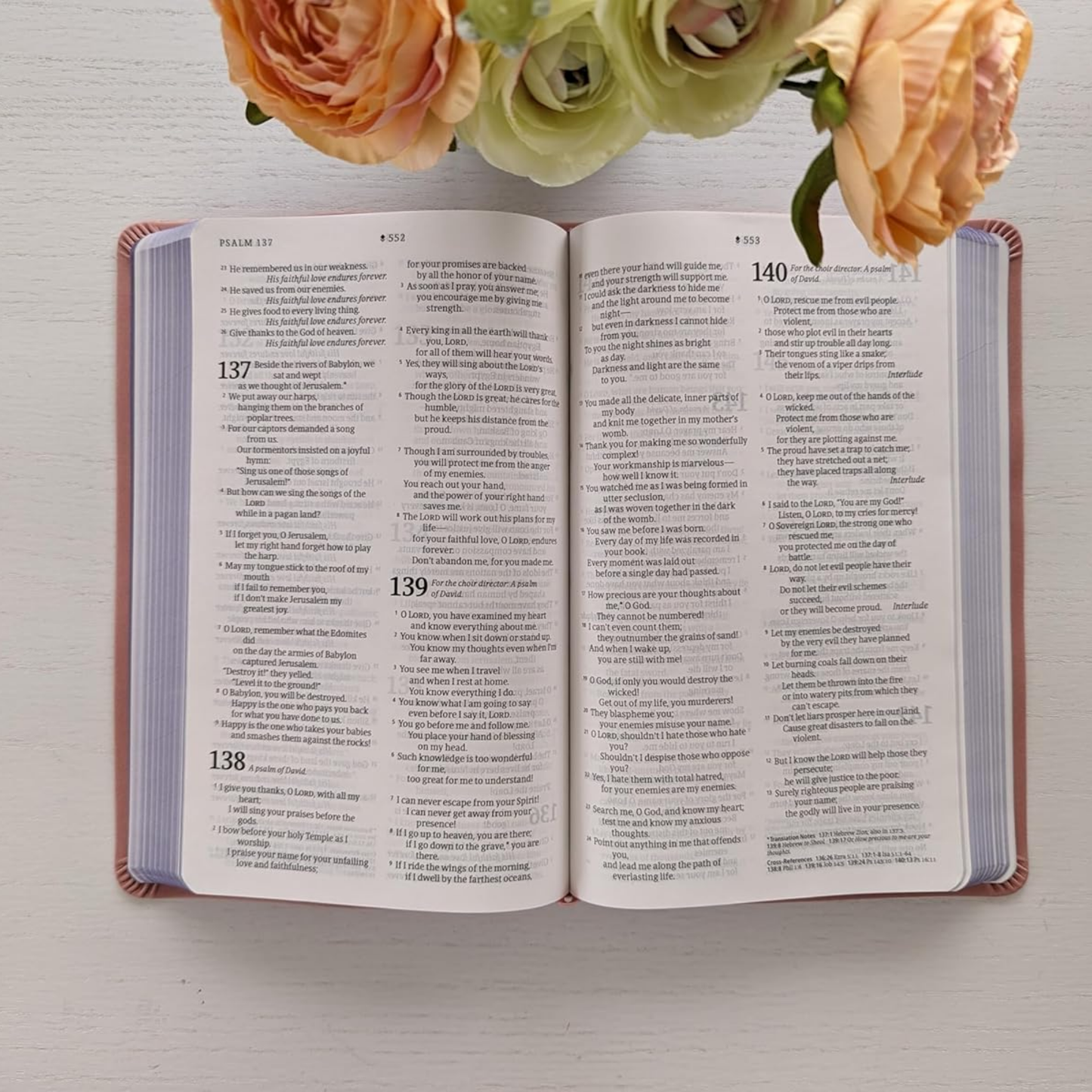 NLT Kids Bible, Thinline Reference Edition