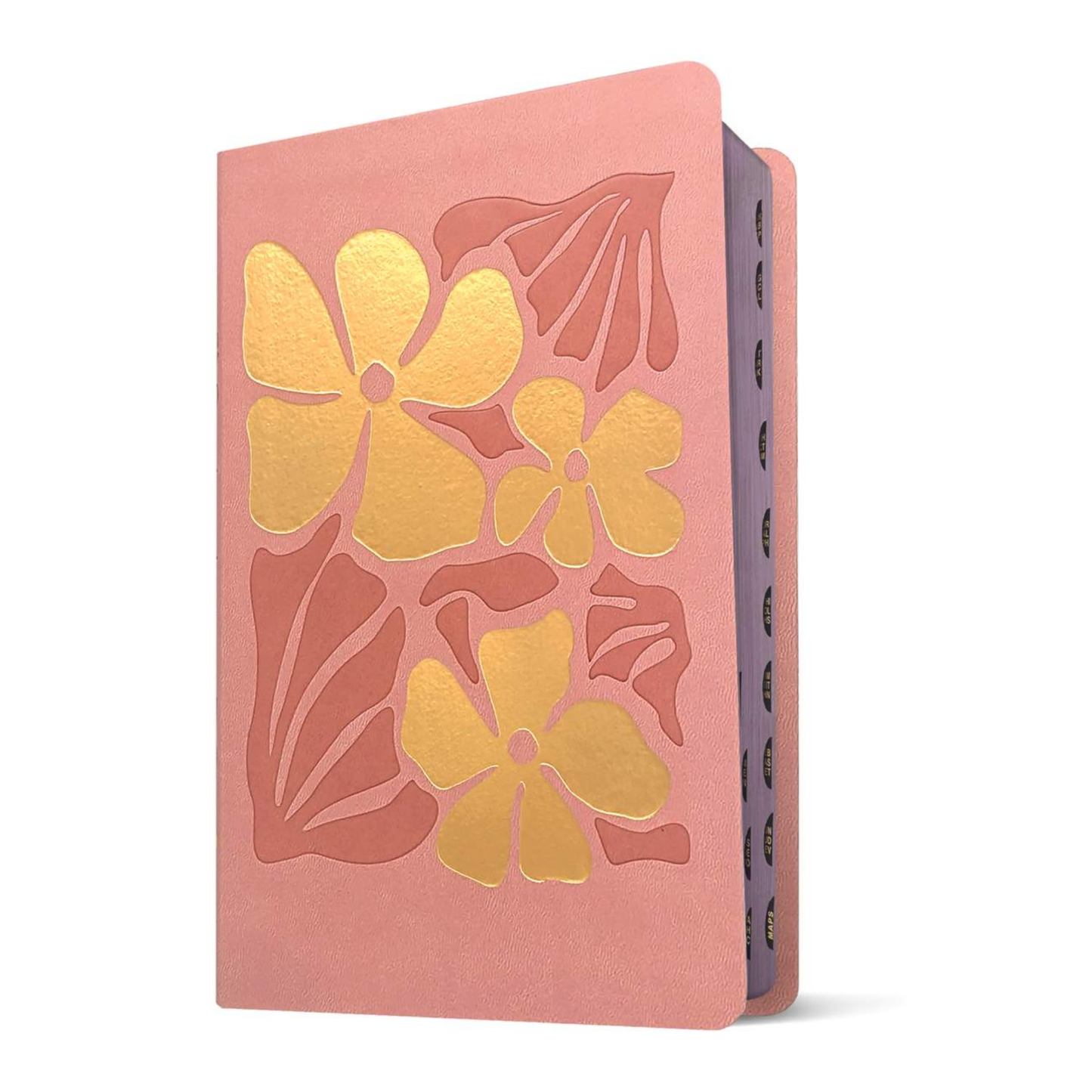 NLT Kids Bible, Thinline Reference Edition (Indexed)