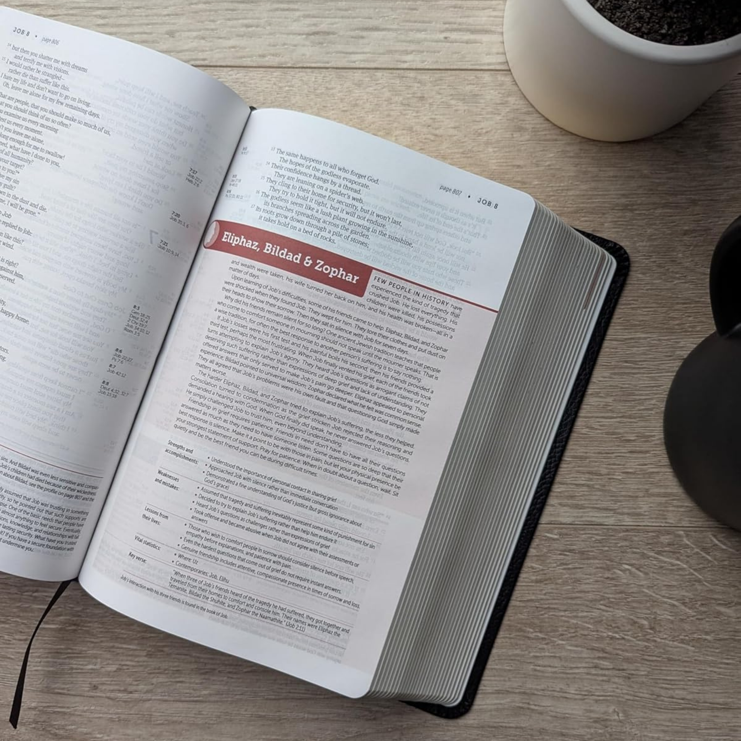 NLT Life Application Study Bible (Third Edition), Personal Size