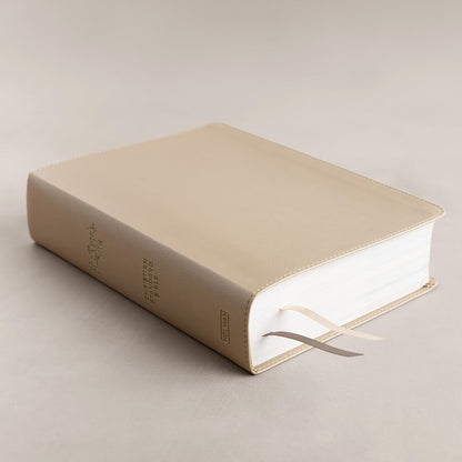 CSB She Reads Truth Bible, Indexed
