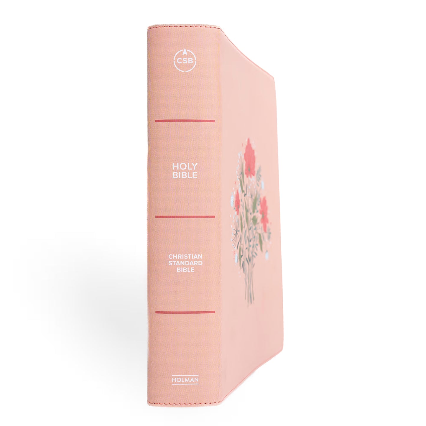 CSB Illustrator’s Notetaking Bible, Large Print, LeatherTouch