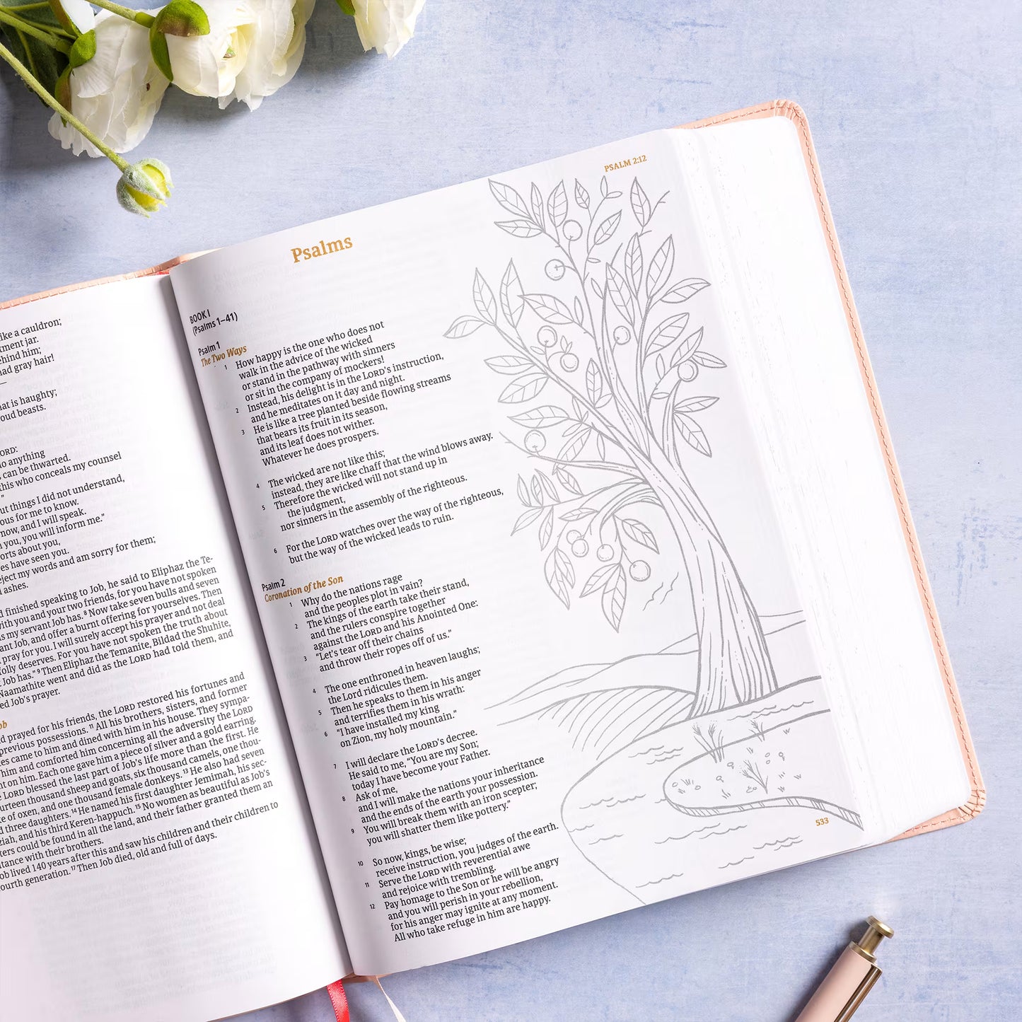 CSB Illustrator’s Notetaking Bible, Large Print, LeatherTouch