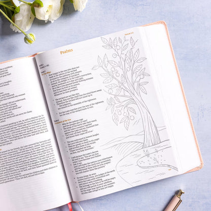 CSB Illustrator’s Notetaking Bible, Large Print, LeatherTouch