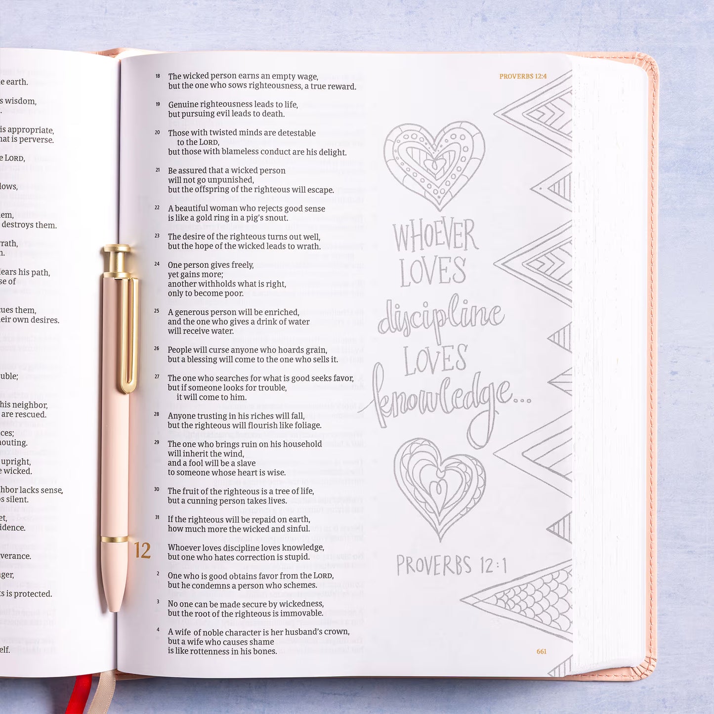 CSB Illustrator’s Notetaking Bible, Large Print, LeatherTouch