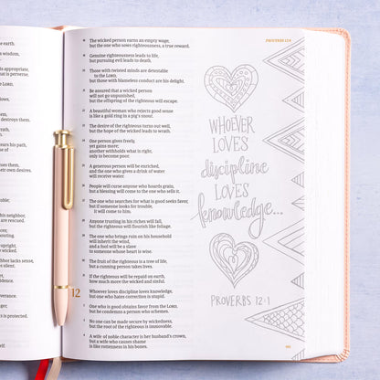 CSB Illustrator’s Notetaking Bible, Large Print, LeatherTouch